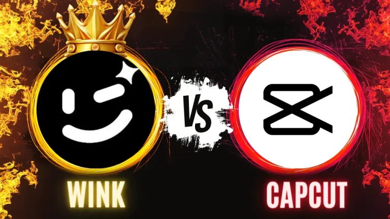Wink vs Capcut