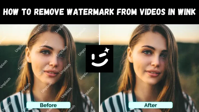 How to Remove Watermark from Videos in Wink